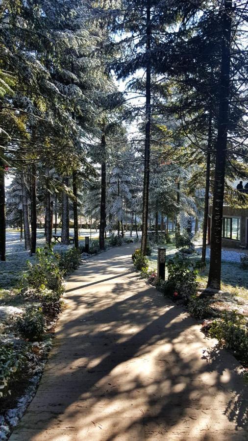 Yolcatı Bolu Koru Hotels Spa & Convention מראה חיצוני תמונה